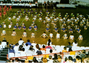 SAGGIO1.jpg (53886 byte)